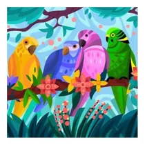 Comprar Pericos Colores Paint By Numbers Xidaka Incluye Bastidor