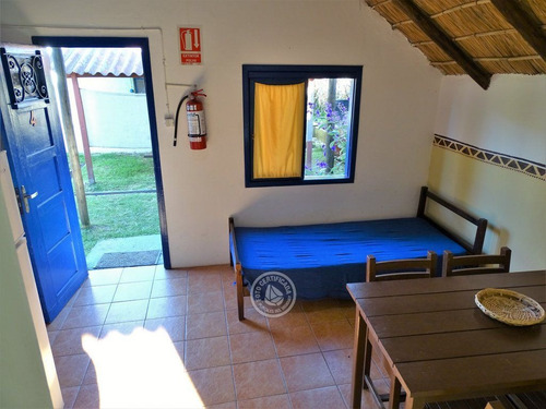 Giramundos - 1 Planta En Punta Del Diablo