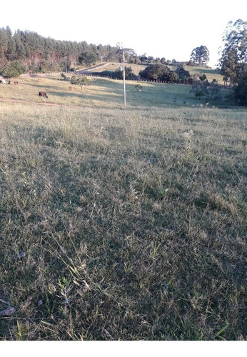 Imagem 10 de 30 de Sítio 4,5 Alqueires Facil Acesso,agua Corrente E De Poço,casa Boa,bem Cercado,bem Cuidado - Ch00073 - 69447576