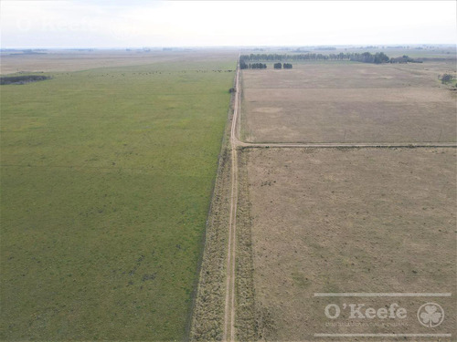 Imagen 10 de 29 de Campo Mixto De 170 Has En San Vicente. Oportunidad!