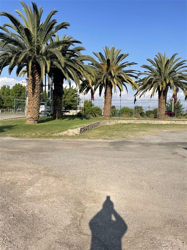 Local Comercial En Venta En San Felipe