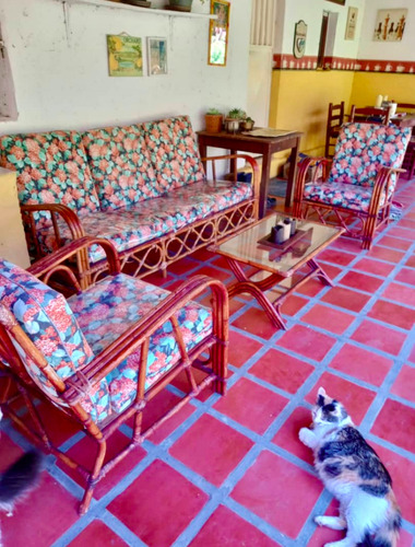 Se Vende Casa En Boconó, Sëctor Mosquey 2.200 M2 De Terreno 3h, 2b, 4 Ptos, Anexo Con Baño
