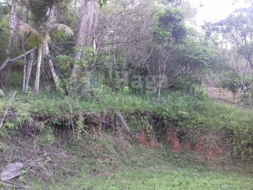 Imagem 4 de 9 de Terreno Rural Para Sítio Ou Chácara A Venda Em Botuverá/sc - 1699c