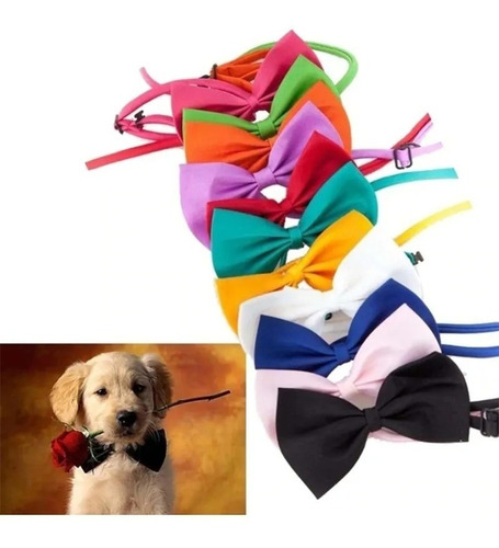 Moño Collar Mascotas Perros Gatos Ajustable Corbata Accesori