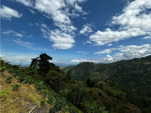 Se Vende Finca En Barragán
