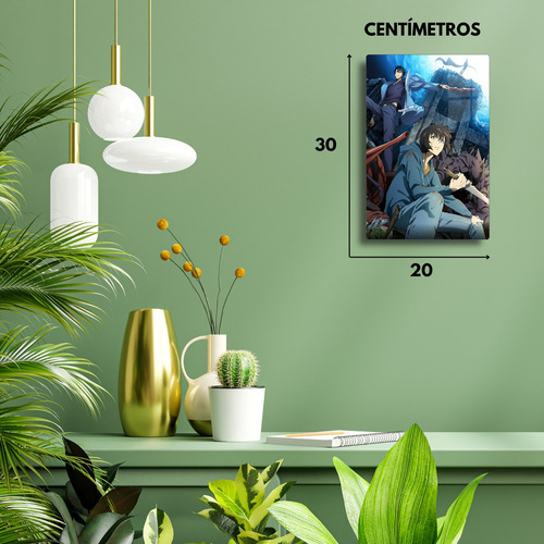 Solo Leveling Anime Cuadro Metal + Soporte Magnético 20x30 Full Color Hd