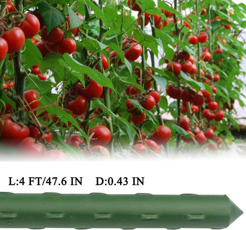 Imagen 3 de 7 de Tutores Para Plantas Largo 90 Cm.