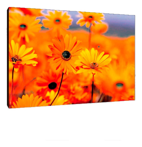 Cuadros Poster Flores Naturaleza M 20x29 (res (78))