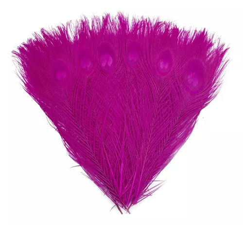  10 plumas de pavo real naturales: varios tamaños. : Arte y  Manualidades