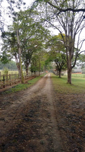 Imagem 7 de 8 de Excelente Fazenda Dupla Aptidão Município Itú