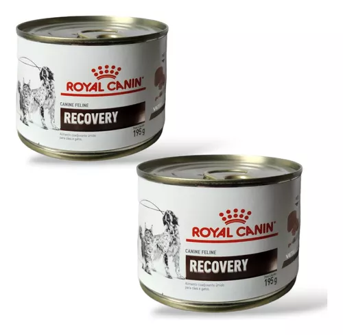 2 Latas Royal Canin Recovery Alimento Cães E Gatos 195 G