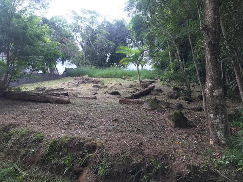 Terreno Padrão Em Garopaba - Sc - Te0790_itajai