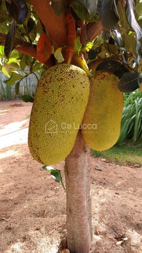 Imagem 24 de 30 de Chácara À Venda Em Vale Das Laranjeiras - Ch009775