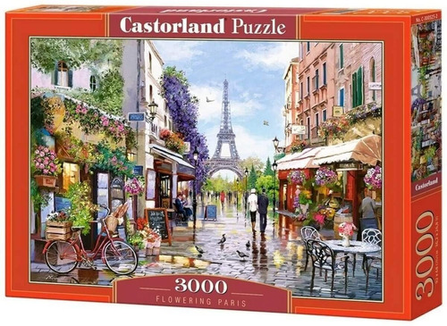 Rompecabezas Puzzle Castorland 3000 Piezas Varios Modelos