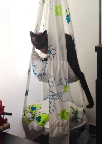 Hamacas, Trapecios, Columpios Para Mascotas. 