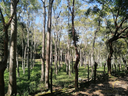 Se Vende Terreno En La Concepción Veracruz