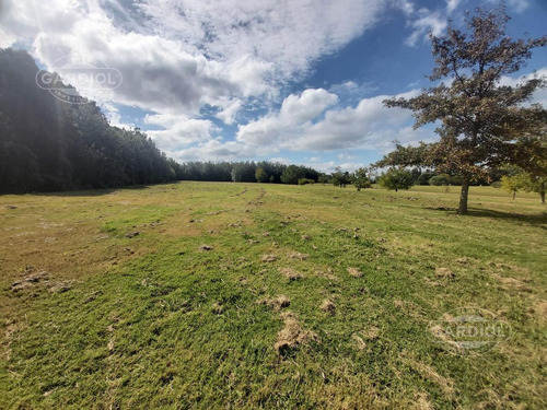 Imagen 21 de 28 de Terreno Barrio Privado 7414 Mts Camino De Los Horneros- Countrie Quinta De Los Horneros