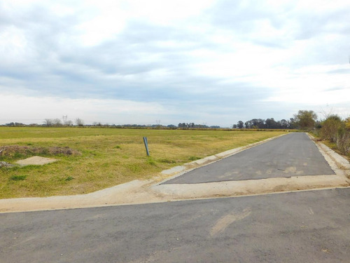 Imagen 7 de 8 de Venta - Lote 300m2 - Parada Robles - Exaltacion De La Cruz