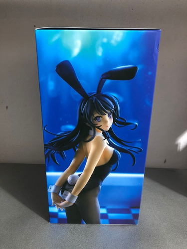 Rascal Does Not Dream Of Bunny Girl Senpai Mai Sakurajima