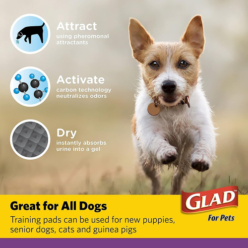 Glad For Pets Jumbo-size Charcoal Puppy Pads | Almohadill...
