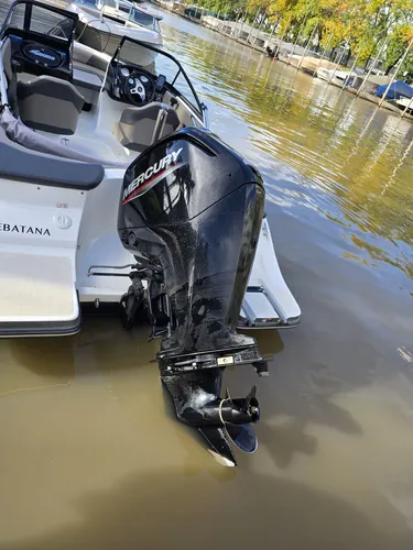 Lancha Geuna F165 Con Mercury 90hp 4 Tiempos