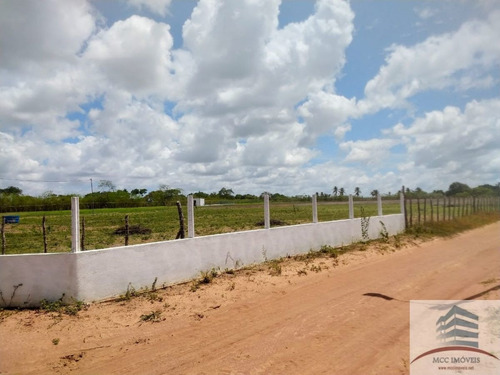 Imagem 23 de 30 de Granja A Venda Em Macaíba