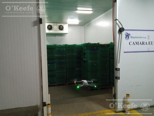 Imagen 12 de 30 de Planta De Acondicionamiento Y Frio En Venta En Concordia Entre Rios - Oportunidad