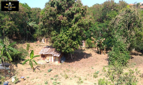 Imagem 15 de 16 de Chácara A Venda Em Boituva Com 3 Casas Simples Em Ponto Comercial - Ch00091 - 34424600