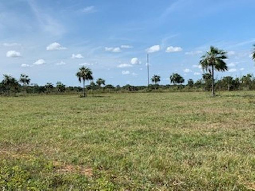 Imagen 12 de 23 de Venta De Finca Edo. Guarico, Pao Los Dos Caminos 1082 Hectáreas
