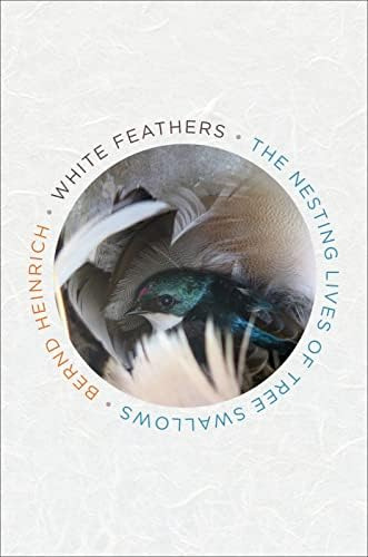 Libro:  White Feathers: The Nesting Lives Of Tree Swallows