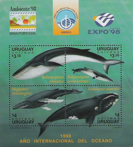 Fauna - Ballenas - Uruguay 1998 - Block Mint - Yvert Bf 70