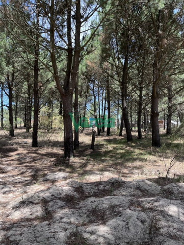 Imagen 9 de 10 de Terrenos Financiados En Nilo Park , Lomas De Solymar