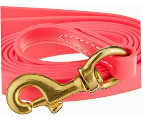 J&j Dog Supplies J&j Pink Biothane Dog Leash, 3/4 Wide By Color Rosa/rebel Fun