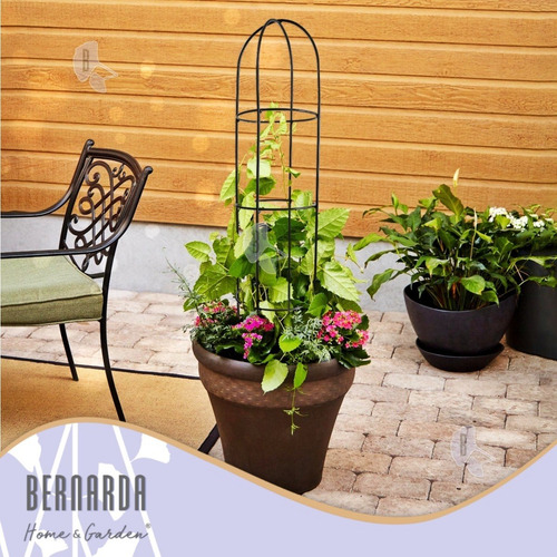Imagen 6 de 9 de Tutor Para Plantas Huertas Jardín Trepadoras Hierro Pack X 2