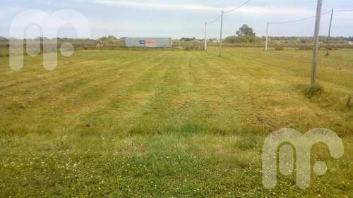 Imagen 9 de 19 de Terreno - La Plata