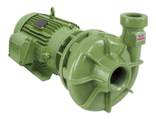 Bomba D'água Centrífuga Bc-21 R 1 1/4 4 Cv Trif Schneider