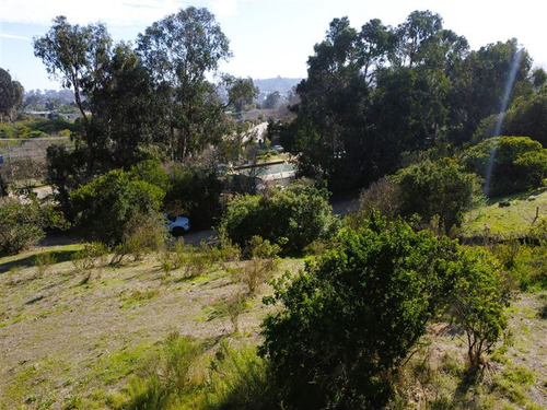 Sitio En Venta En Cachagua