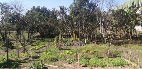 Área À Venda, 70000 M² Por R$ 21.000.000,00 - Jardim Do Triunfo - Guarulhos/sp - Ar0193