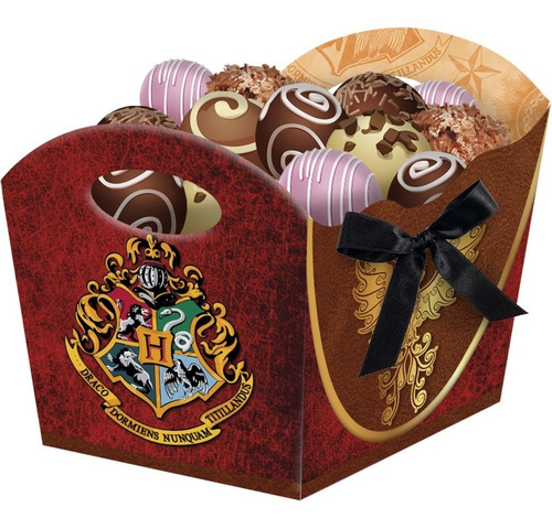 Imagem 1 de 3 de Festa Harry Potter Cachepot Decoração De Aniversario