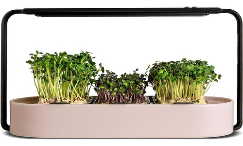 Ingarden Microgreens Growing Kit - Almohadillas Orgánicas