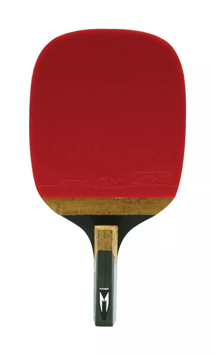 Terceira imagem para pesquisa de raquete de ping pong profissional