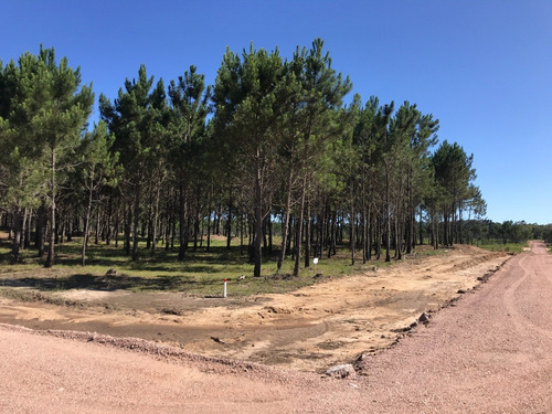 Imagen 3 de 9 de En Venta - Los Zorzales - Loteo De 30 Solares - Mza 423