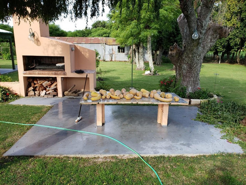 Imagen 6 de 12 de Campo En Venta 66has Agrícolas Ruta 16