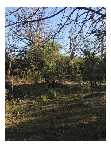 Imagen 5 de 7 de Campo En El Huayco Las Calles