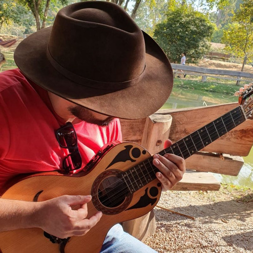 Aula De Viola Caipira