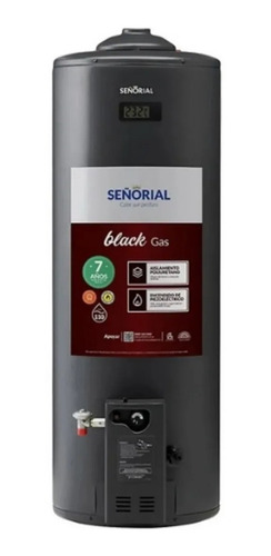 Termotanque A Gas 110 Lts Nuevo Señorial Family Black 2.0