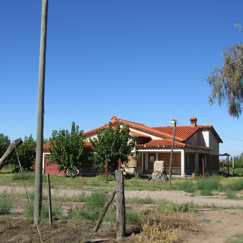 Imagen 1 de 13 de Vendo Finca Con Casa Estilo Chalet Y Produccion De Viña En San Rafael Mendoza