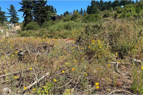 Terreno 1.500m² Alta Plusvalía En Reñaca Los Pinos
