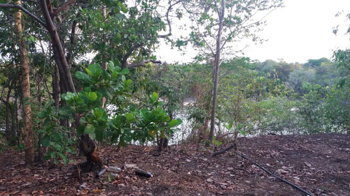 Fazenda Paraiso Dos Pescadores 47,600ha Rio Do Peixe C/ Rio Araguaia - Viuva - Nova Crixas - Go