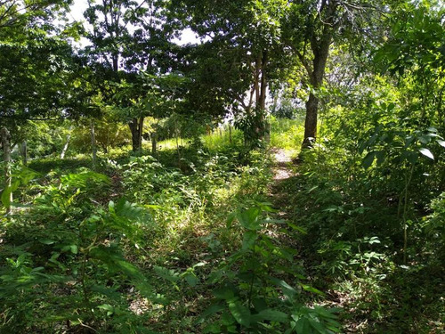Venta Terreno 773 M² Col. El Naranjal Tuxpan Veracruz